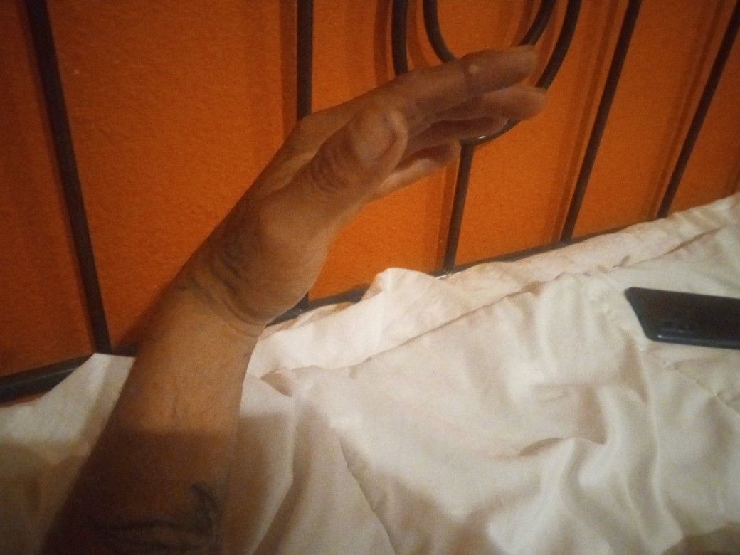 An Invisible Monkey