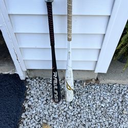 Baseball Bats 
