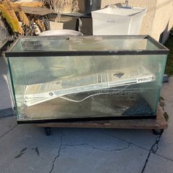 Fish Tank