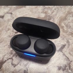Sony earbuds