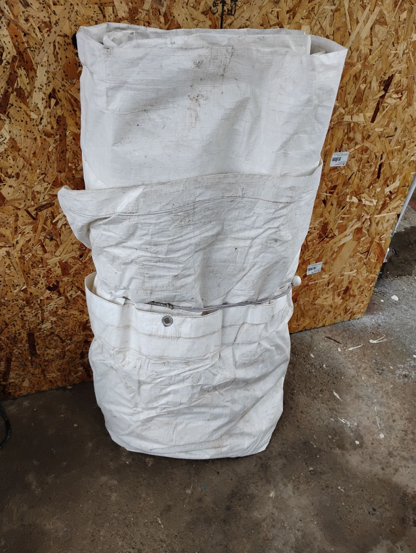 Tarp