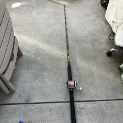 Fishing Rods (saltwater)