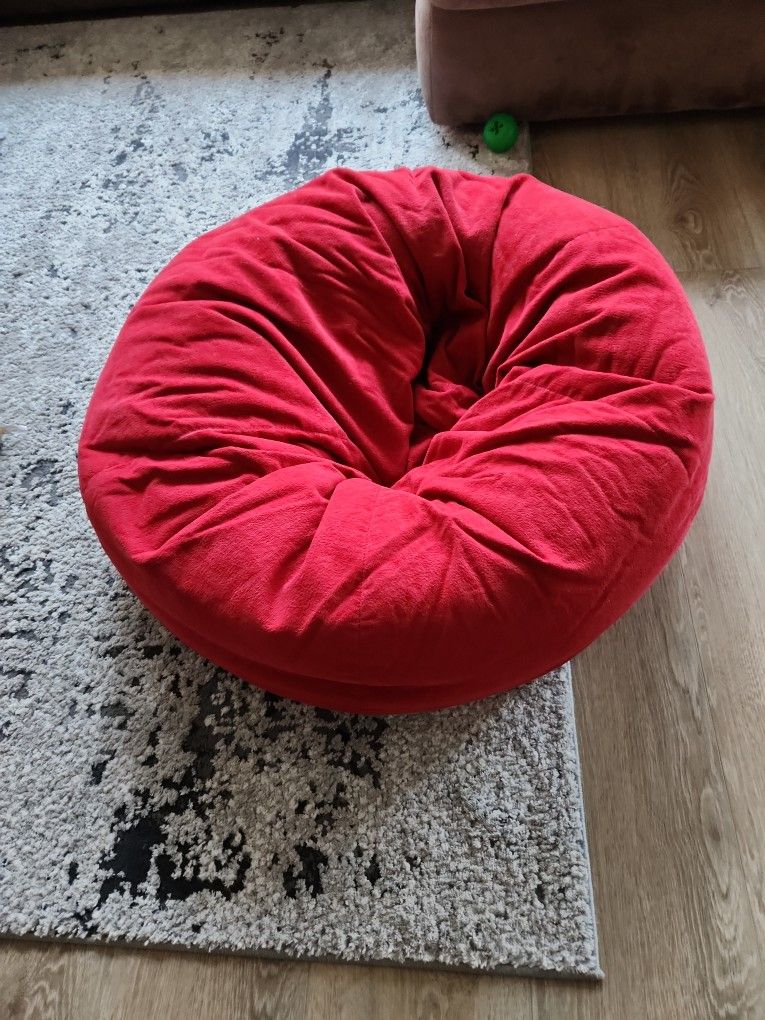 Bean Bag Chair Or Dog Bed