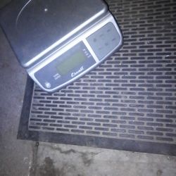 Scale