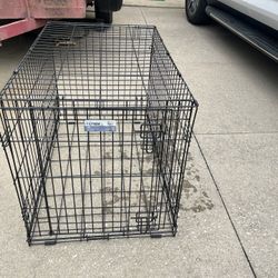 Dog Kennel 