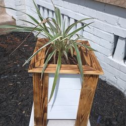 Wooden Planters