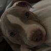 Caiden 