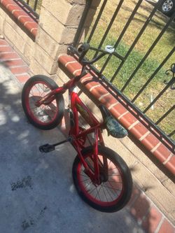 Toddler bike
