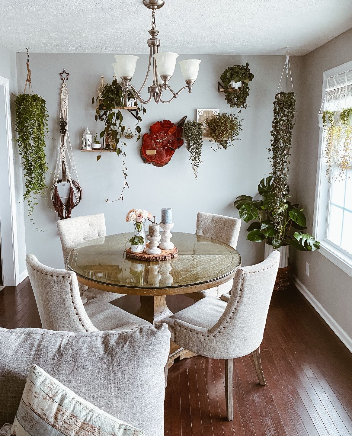 Dining Chairs