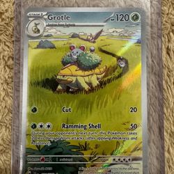 Pokémon Grotle 164/162 Illustration Rare – Temporal Forces