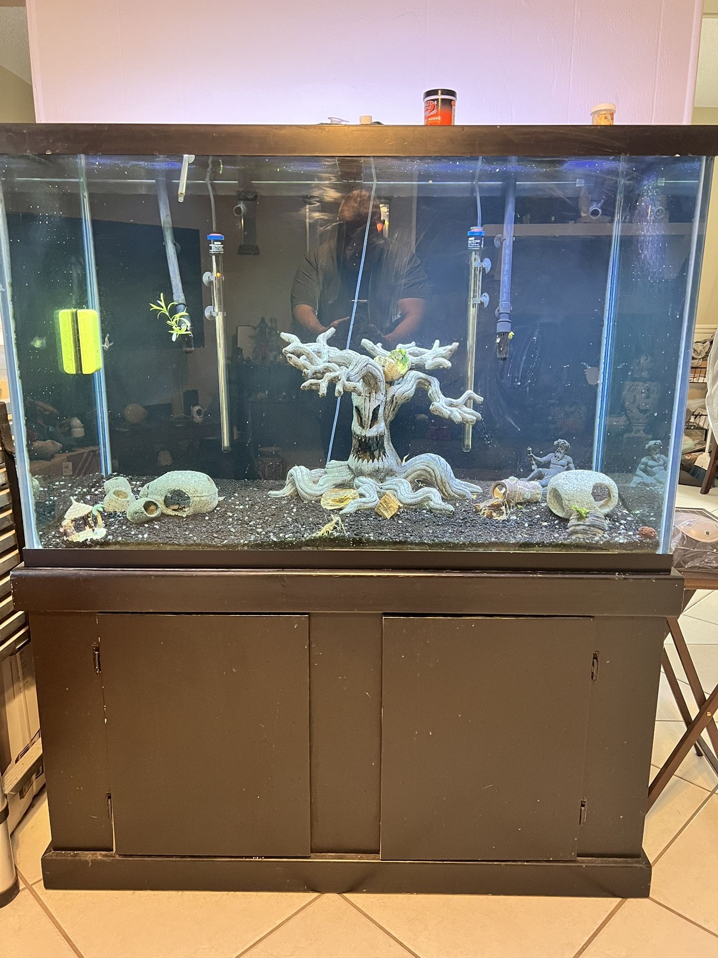 Fish Tank Sale $600.00