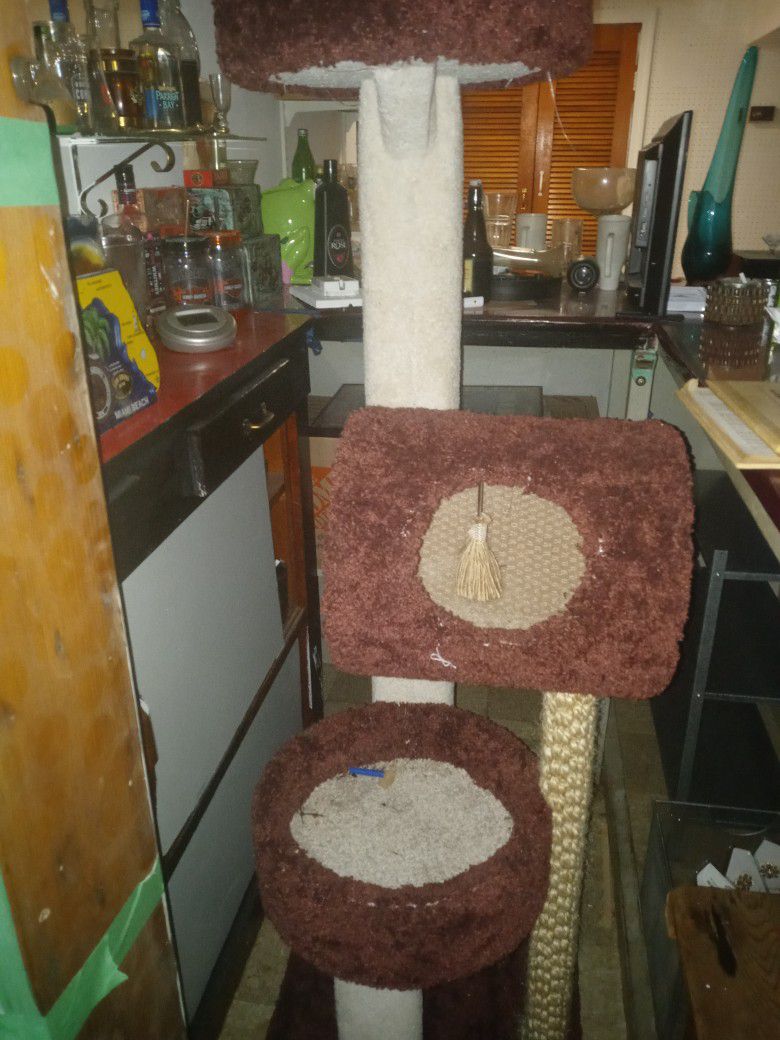 5.5 Ft. X 18x18 Inch Cat Tree With 2 Levels 