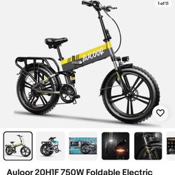 1 Adult E-bikes