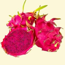2IN1 Dragon Fruit Plant ( Red And White)