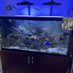 90 Gallon Saltwater Aquarium 