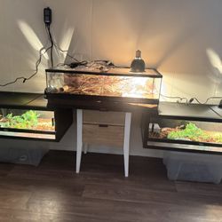 Snake Enclosures