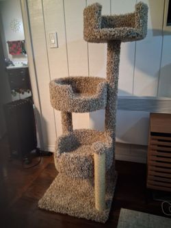 Cat Condo