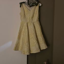 Tea Party Dress