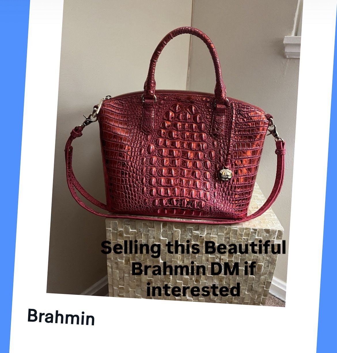 Brahmin Purse