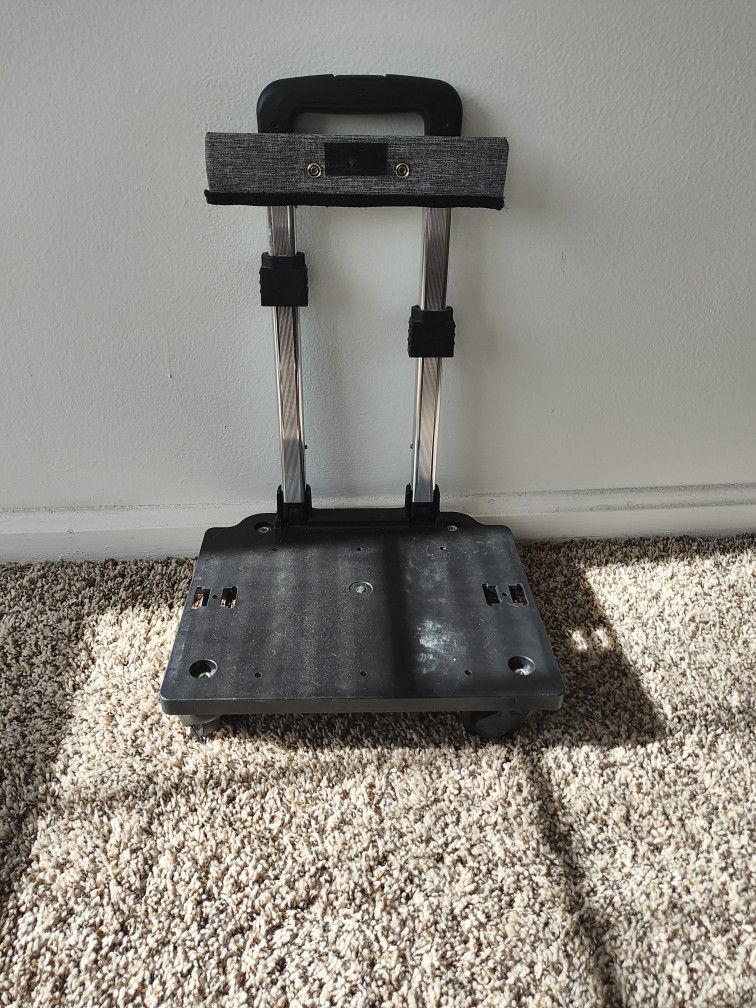Cat Roller Backpack