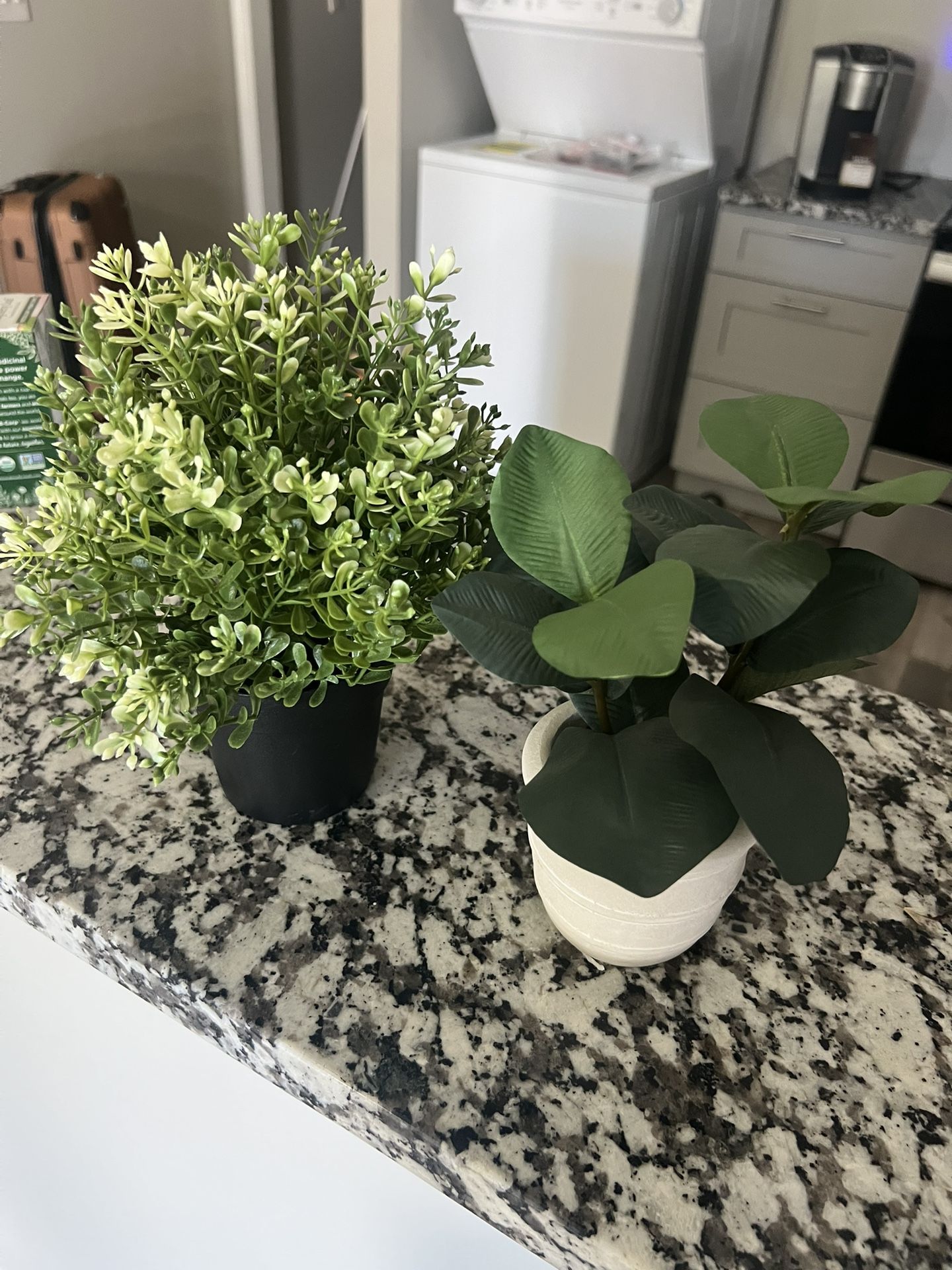 Fake Plants
