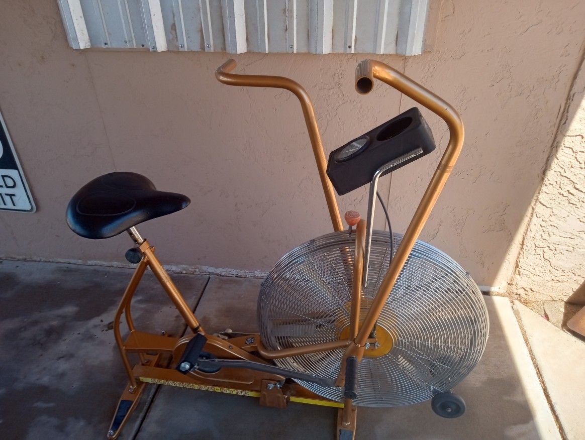 Vintage Schwinn Exercise Bike