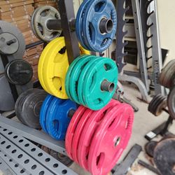 Body Solid Olympic Grip Weight Plates 