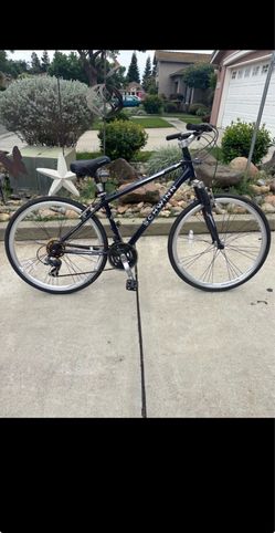 Adult Male Bike.