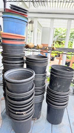 Plant Pots – Looking for a Plant Lover 🌱🪴