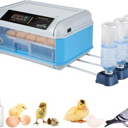 Incubators for Hatching Eggs, 12-16 Eggs Incubator with Automatic Egg Turning, Temperature and Humidity Control, Candling Function for Hatching