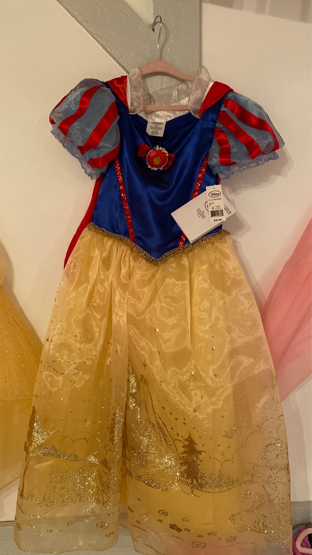 Disney Princess Costume