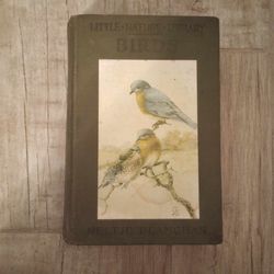 BIRDS WORTH KNOWING: Little Nature Library - Neltje Blanchan 1925 Doubleday, Page & Co vintage HB