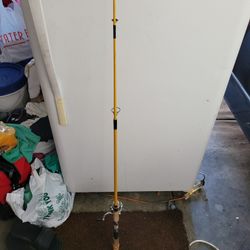 Fishing Rod And Reel