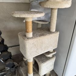 Cat Tower 