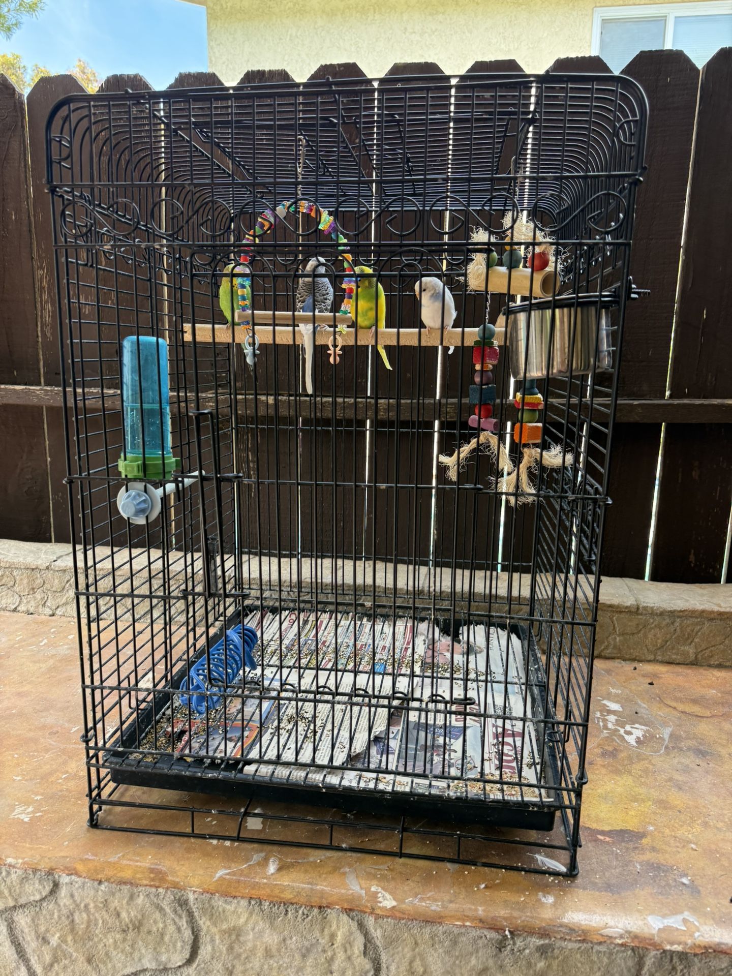 Cage