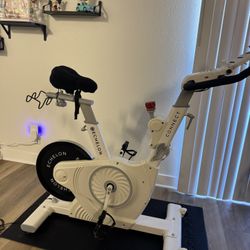 Echelon Electric Bike 