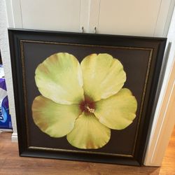 Yellow Hibiscus Portrait