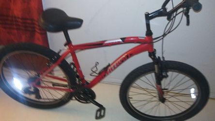 Schwinn badger sale