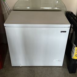 Deep Freezer w/ Light 