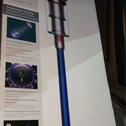 Dyson V11 