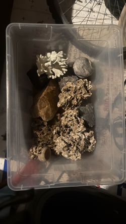 Aquarium Decorations 