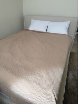 Living Spaces Dean Sand Queen Bed Frame – Cream