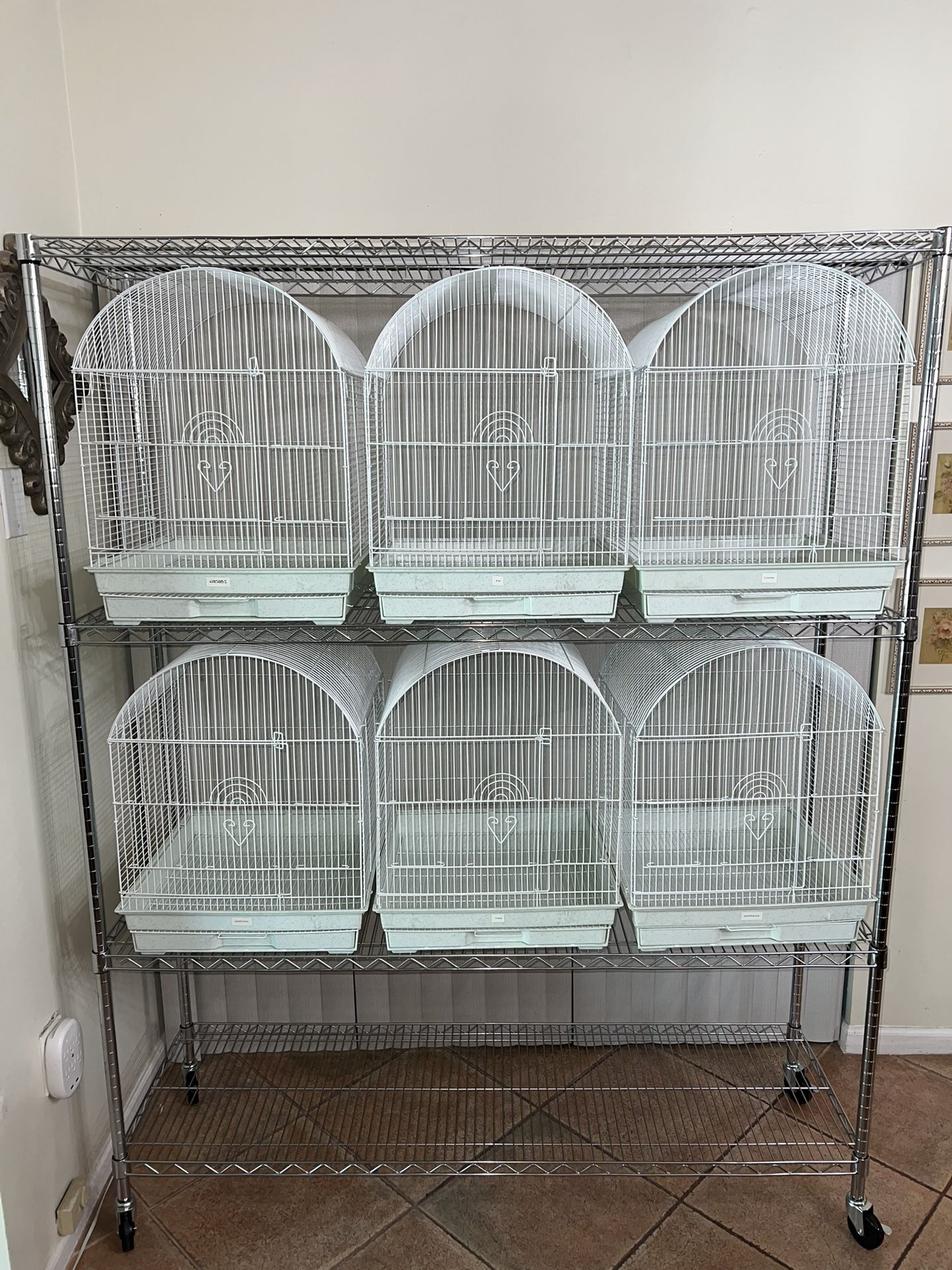 Aviary Large Dome Cage for small Birds for Sale in Boca Raton, FL OfferUp