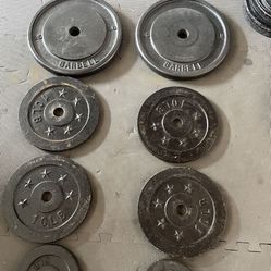 Weight Plates.       65 Dollars 