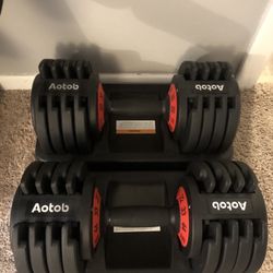 Adjustable Dumbbells 