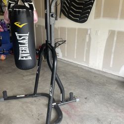 Everlast Punching bag Set 