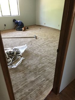 Carpet
