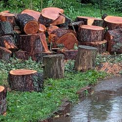 Free Wood