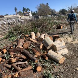 Fresh Fire Wood $100 For Everything