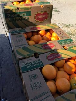 Sweet oranges sale